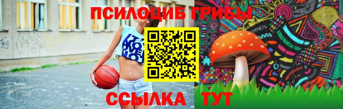 Псилоцибиновые грибы мицелий  Псилоцибиновые грибы прущие грибы  цены   Вход с VPN  Киров 